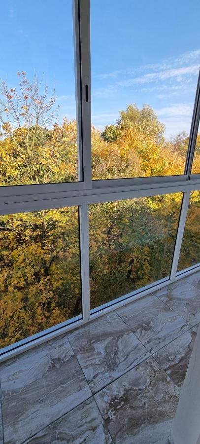 Jaukus Apartamentai Miesto Centre Šiauliai Extérieur photo