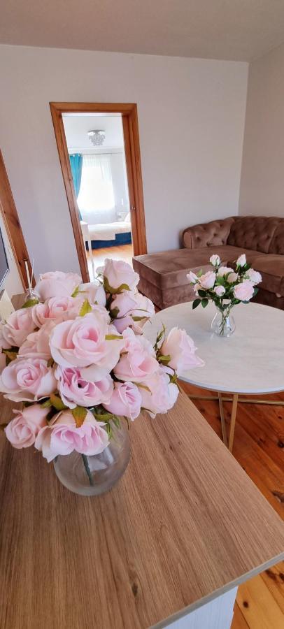 Jaukus Apartamentai Miesto Centre Šiauliai Extérieur photo